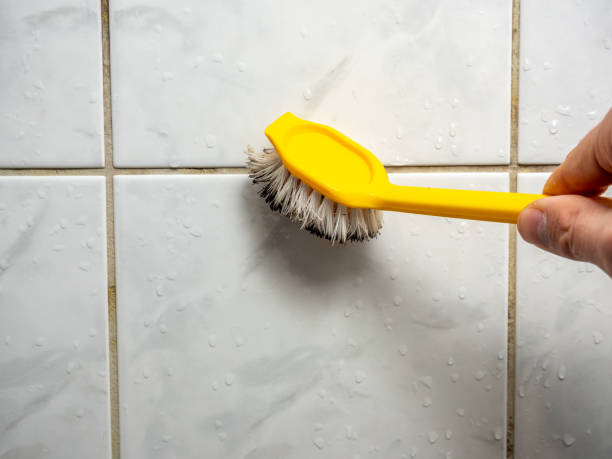 Best Professional Mold Removal  in Cokato, MN