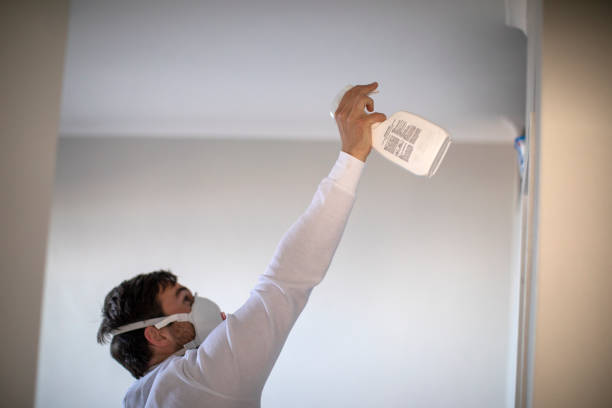 Best Toxic Mold Removal  in Cokato, MN