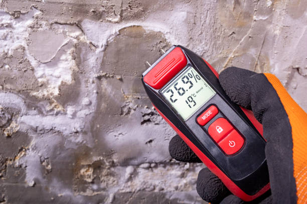 Best Local Mold Removal Service  in Cokato, MN
